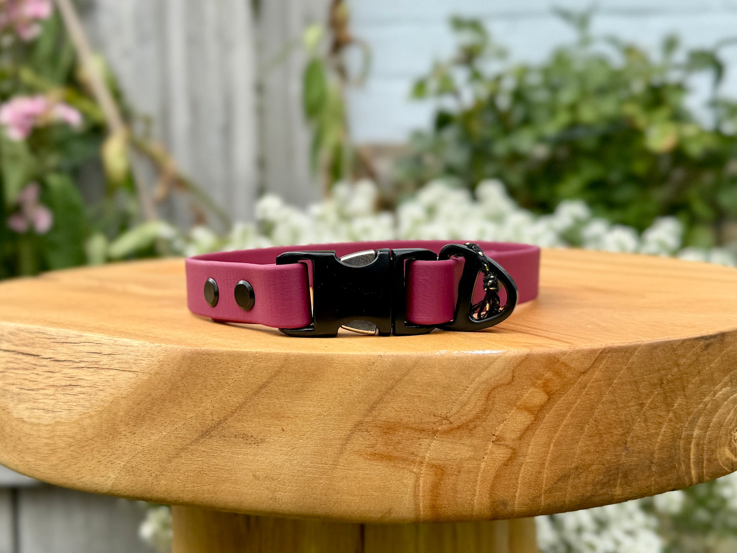 biothane dog collar handmade