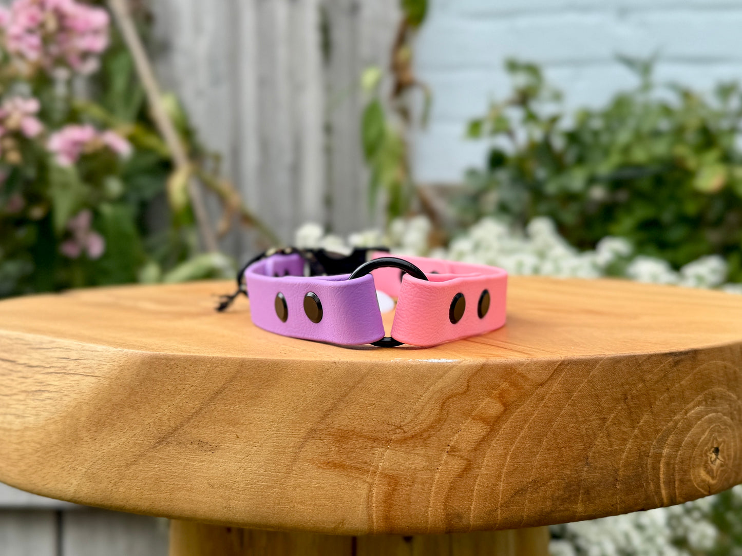 biothane dog collar handmade