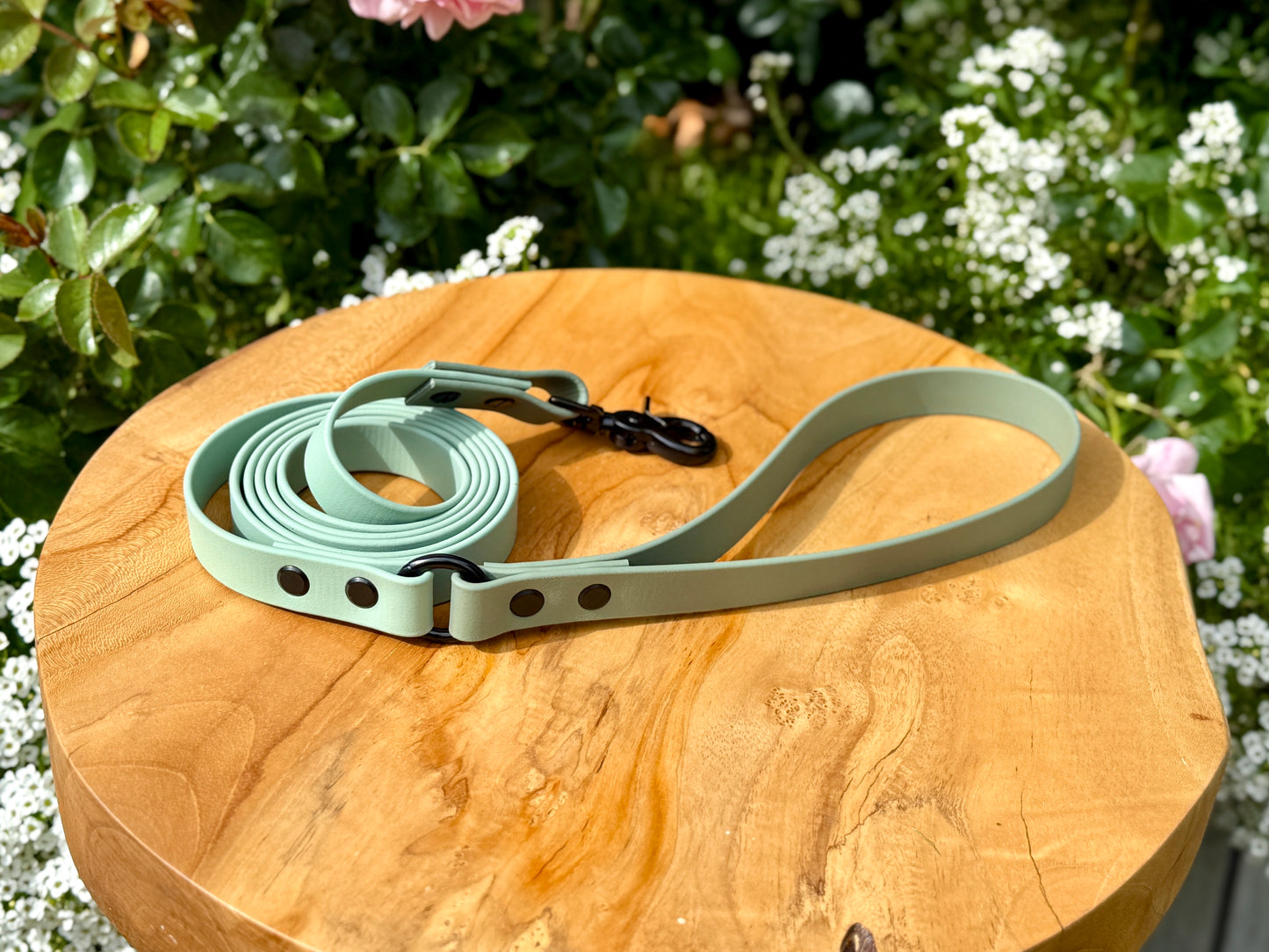 Biothane dog lead handmade