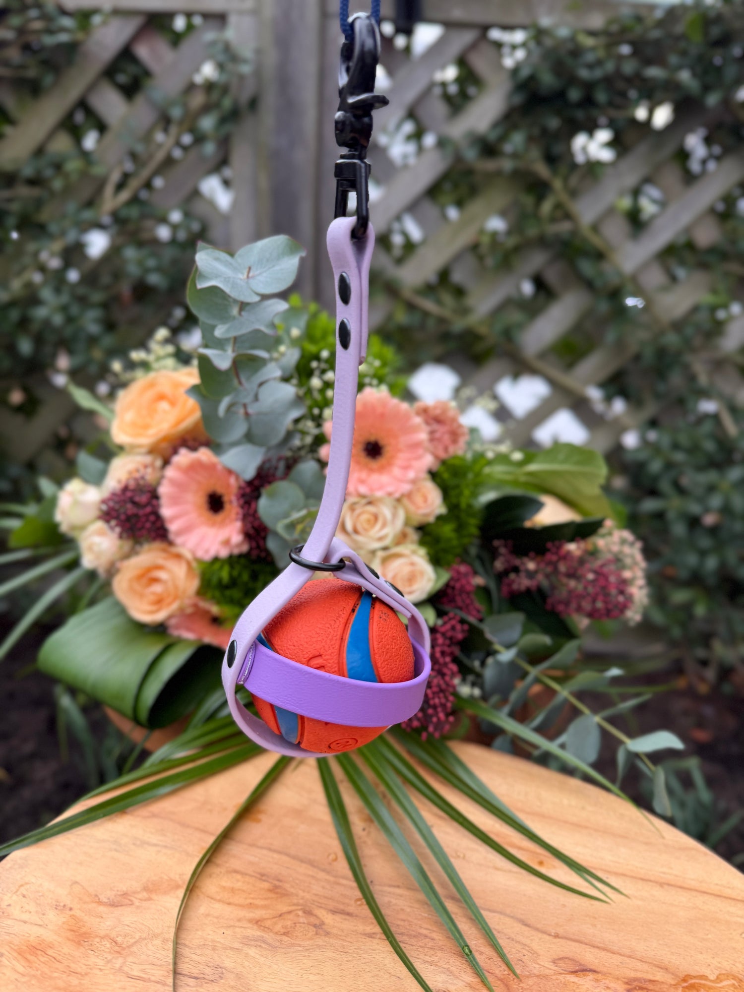 Ball Holders