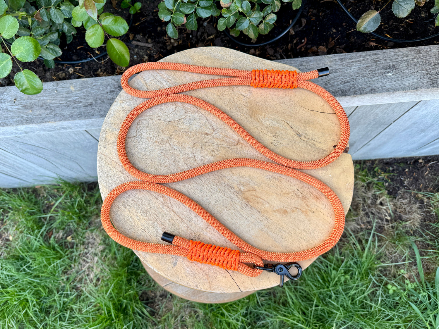 Rope Leads