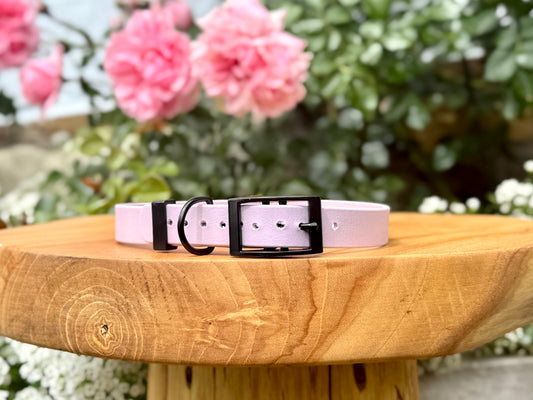 biothane dog collar handmade