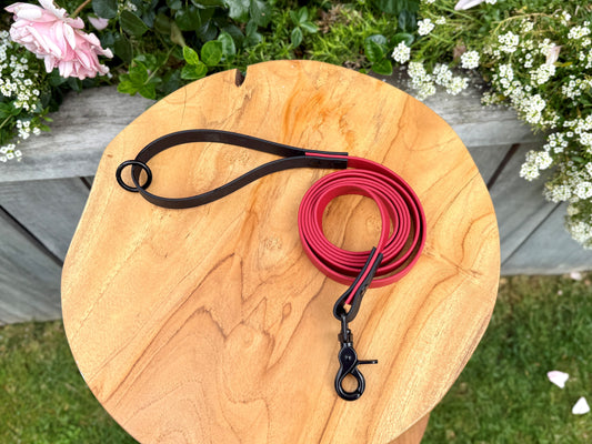 Biothane dog lead handmade