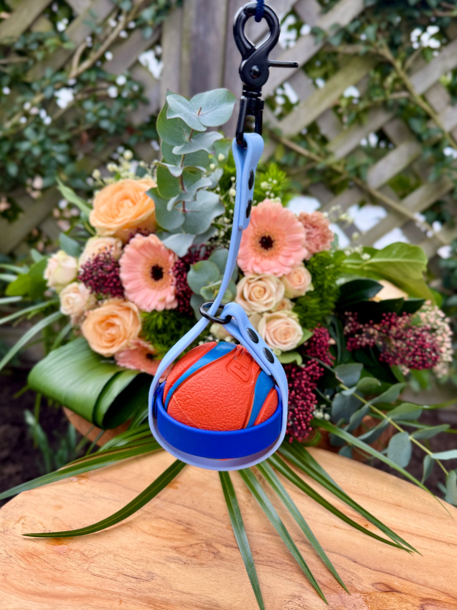 balhouder voor hond met bal ballholder for dog with ball biothane