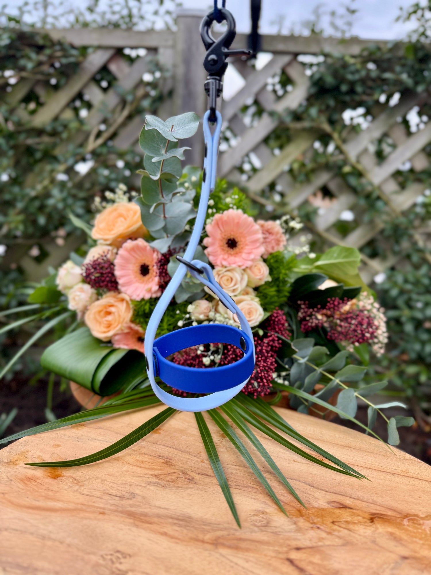 balhouder voor hond zonder bal ballholder for dog without ball Bothane