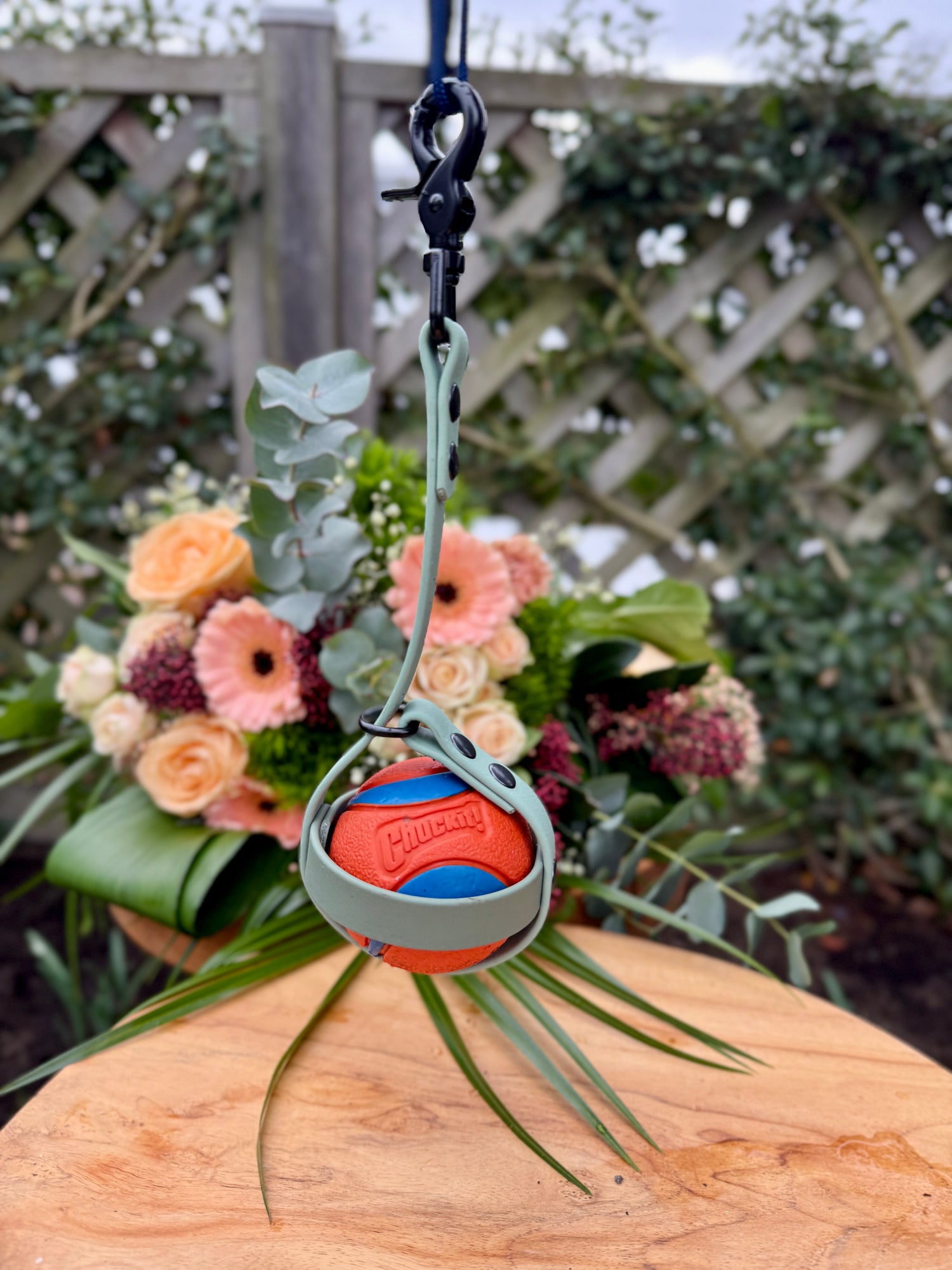 balhouder voor hond met bal ballholder for dog with ball biothane