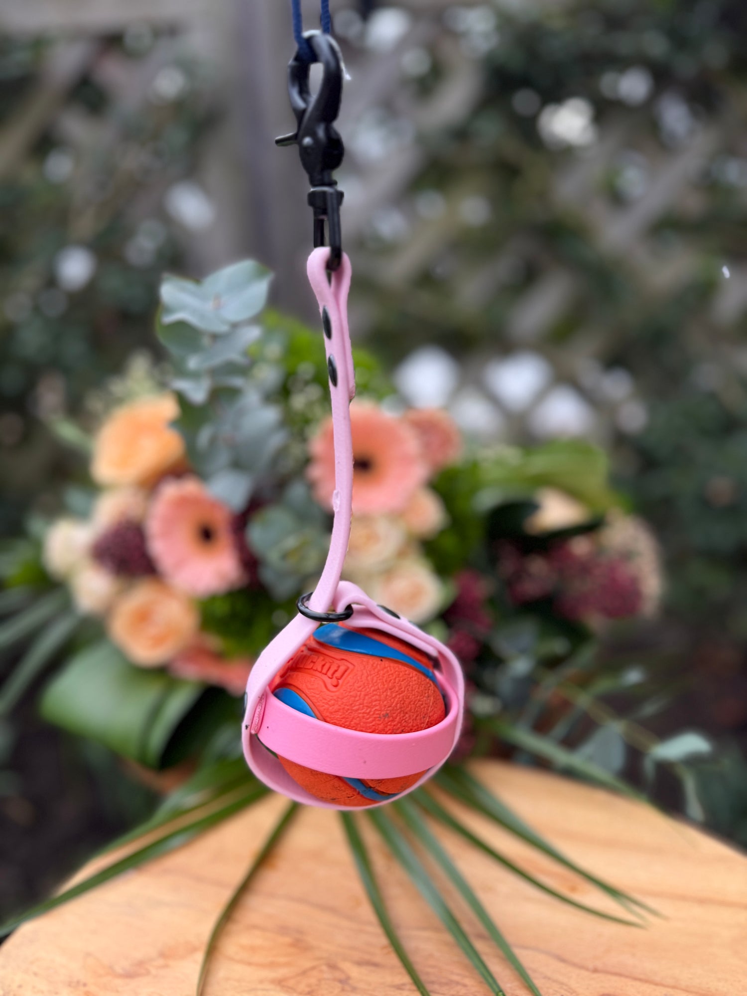 balhouder voor hond met bal ballholder for dog with ball biothane