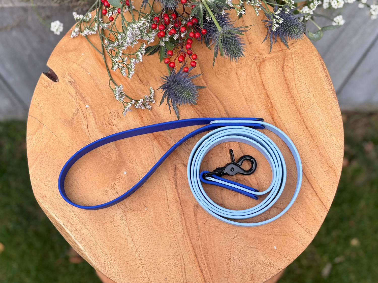 Two-Tone Biothane Training Lead