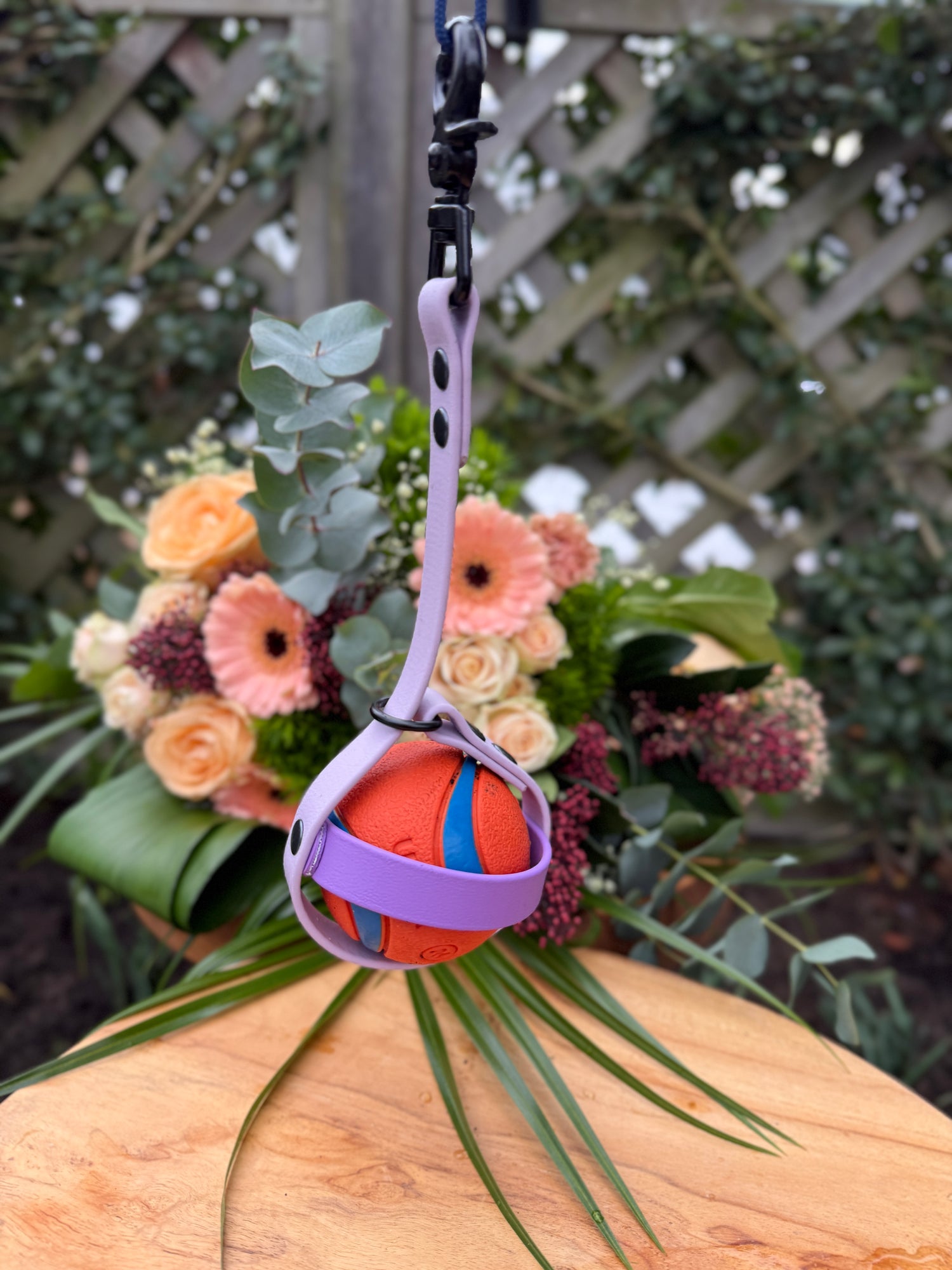 balhouder voor hond met bal ballholder for dog with ball biothane