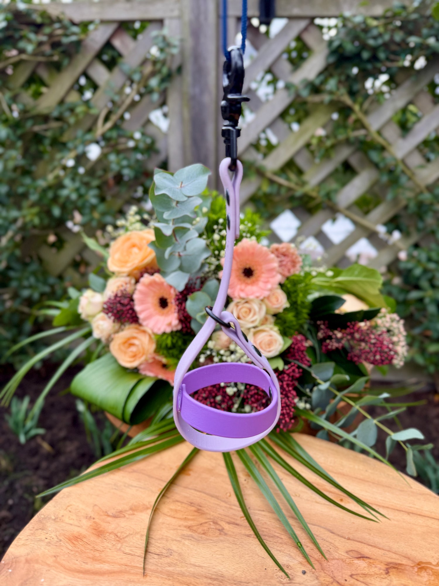 balhouder voor hond zonder bal ballholder for dog without ball Bothane