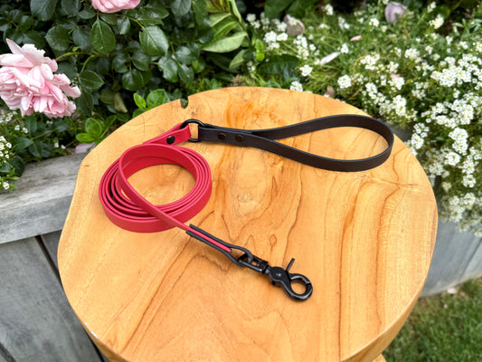 Biothane dog lead handmade