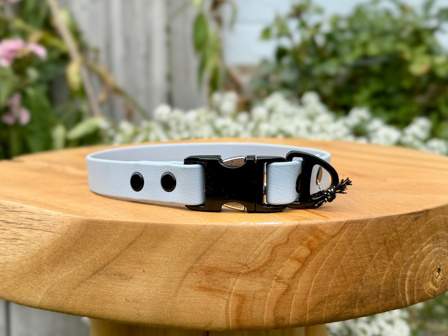 biothane dog collar handmade