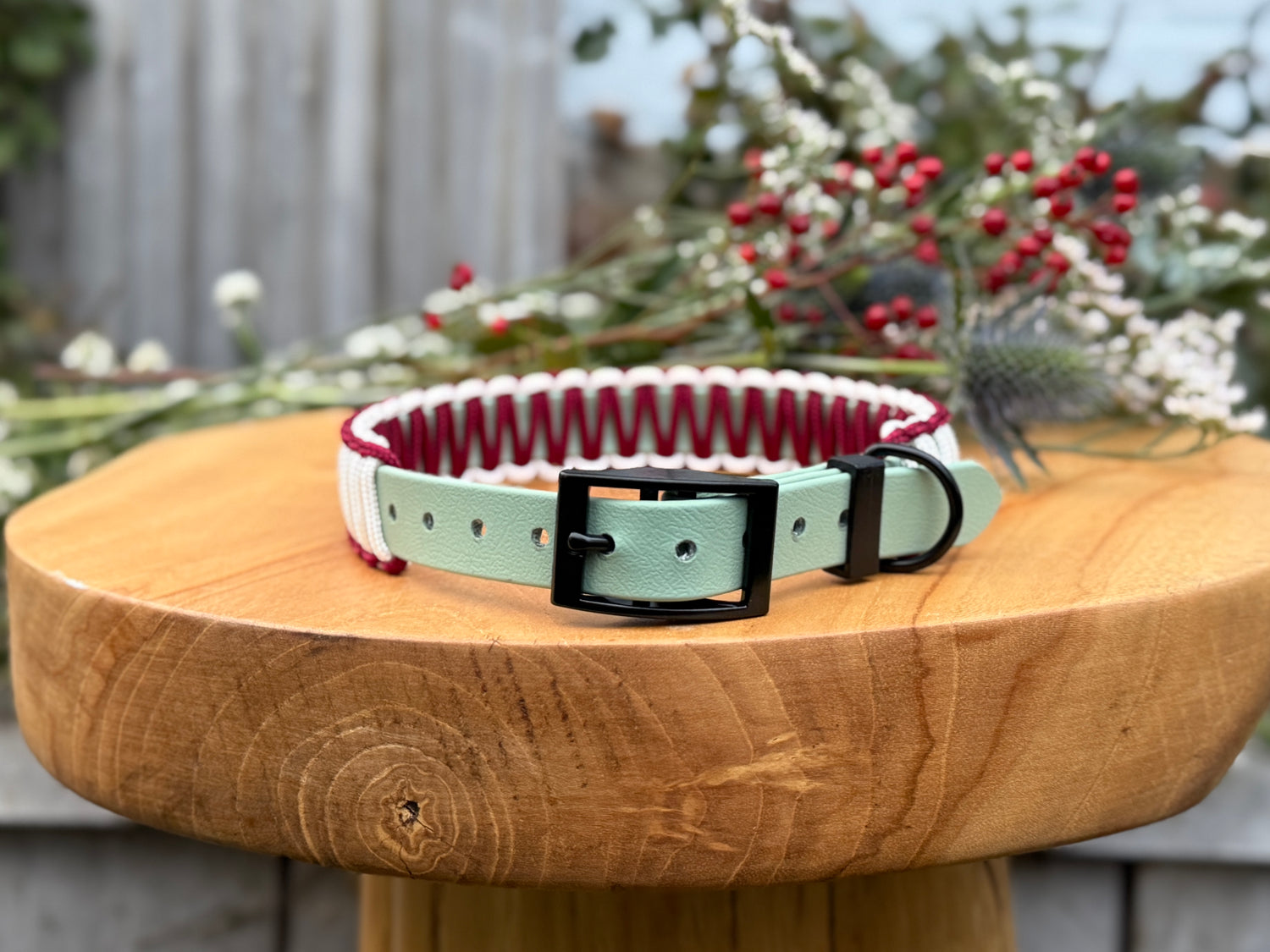 Holly Biothane Classic Collar