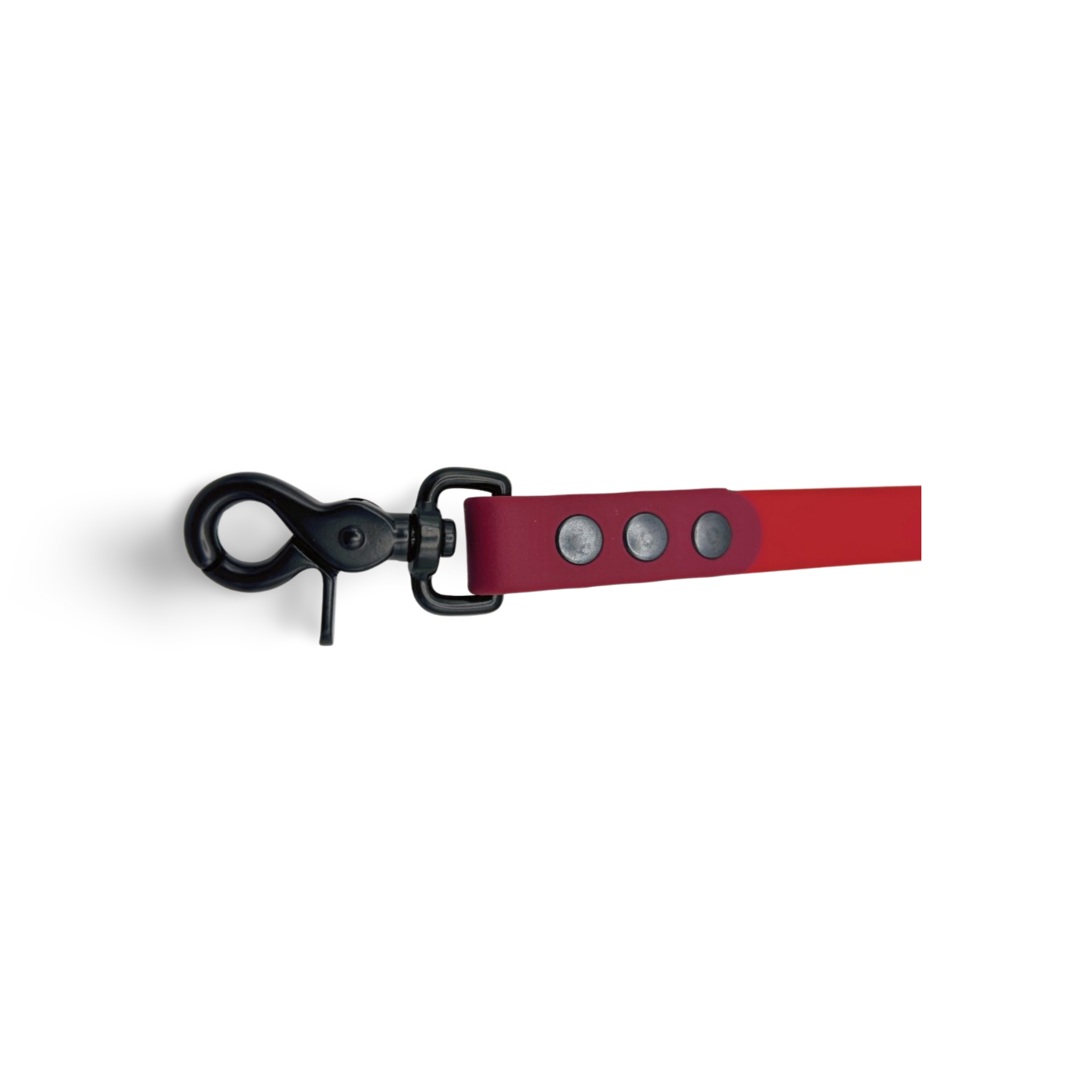 Two-Tone Biothane Multiway Lead