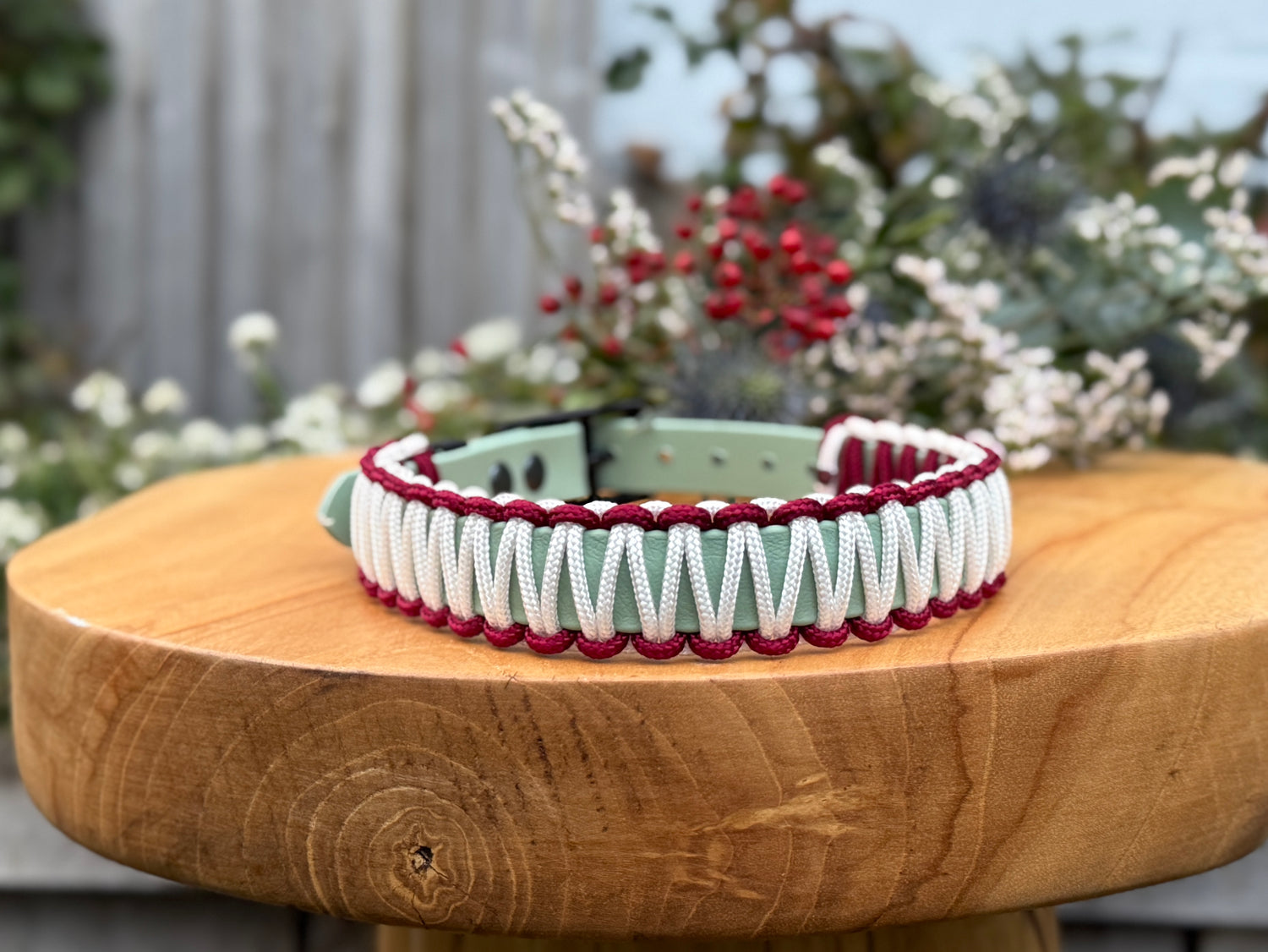 Holly Biothane Classic Collar