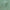 Sage Green Biothane
