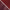 Two-Tone Biothane Multiway Lead
