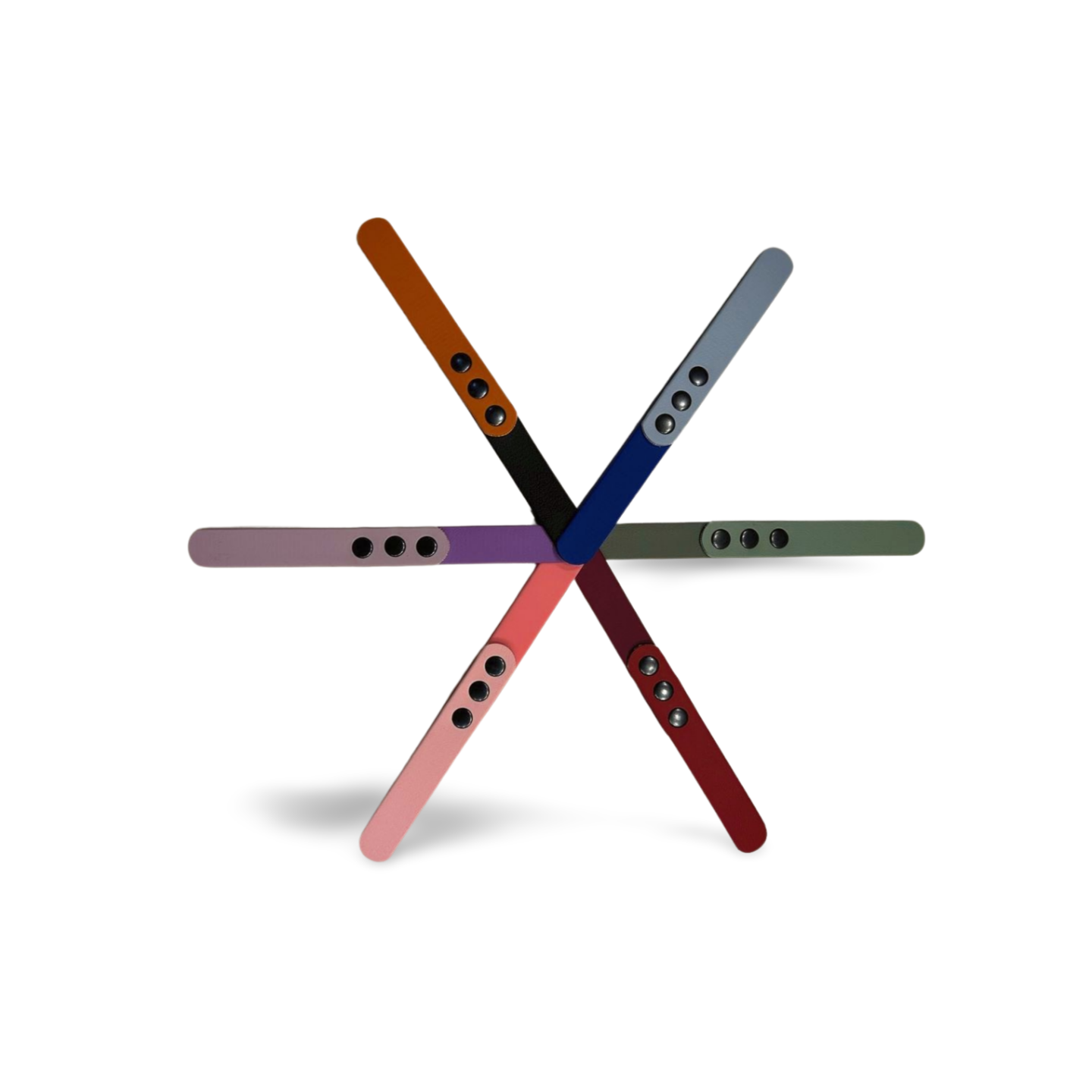 Laisse Biothane Bicolore Basique