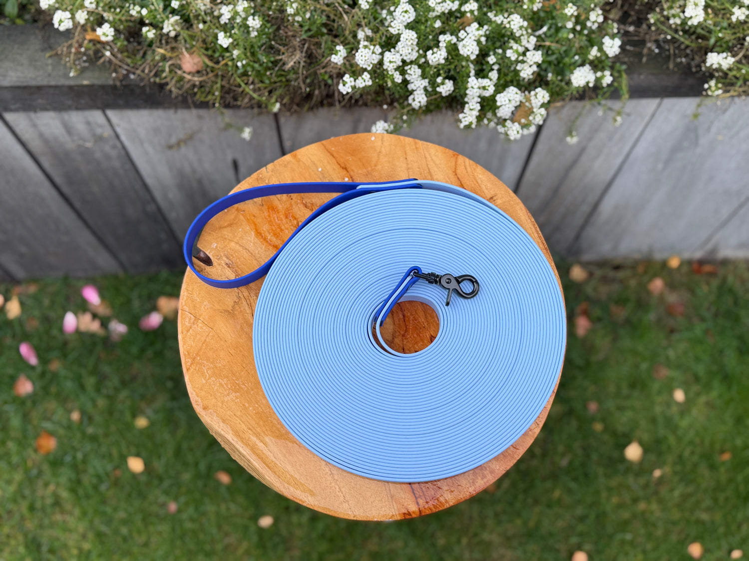 Customisable Basic Two-Tone Biothane Long Lead