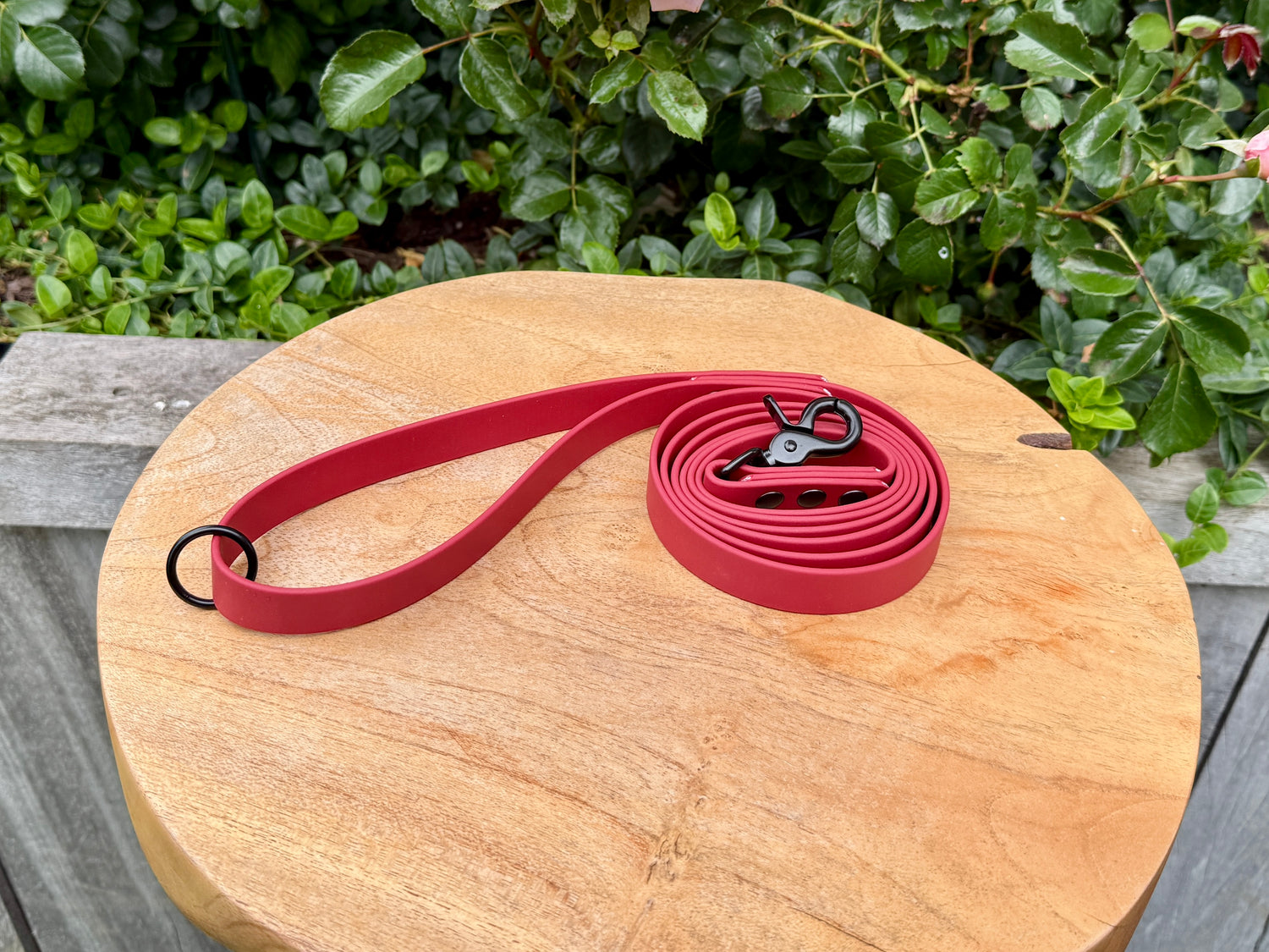 A handcrafted crimson red Biothane dog lead with black premium hardware, featuring a sleek, minimalist design. Waterproof, odour-resistant, and easy to clean, it offers exceptional durability and reliable performance in all weather conditions.