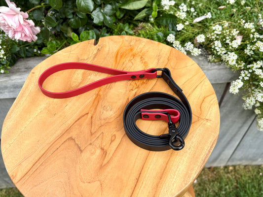Biothane dog lead handmade