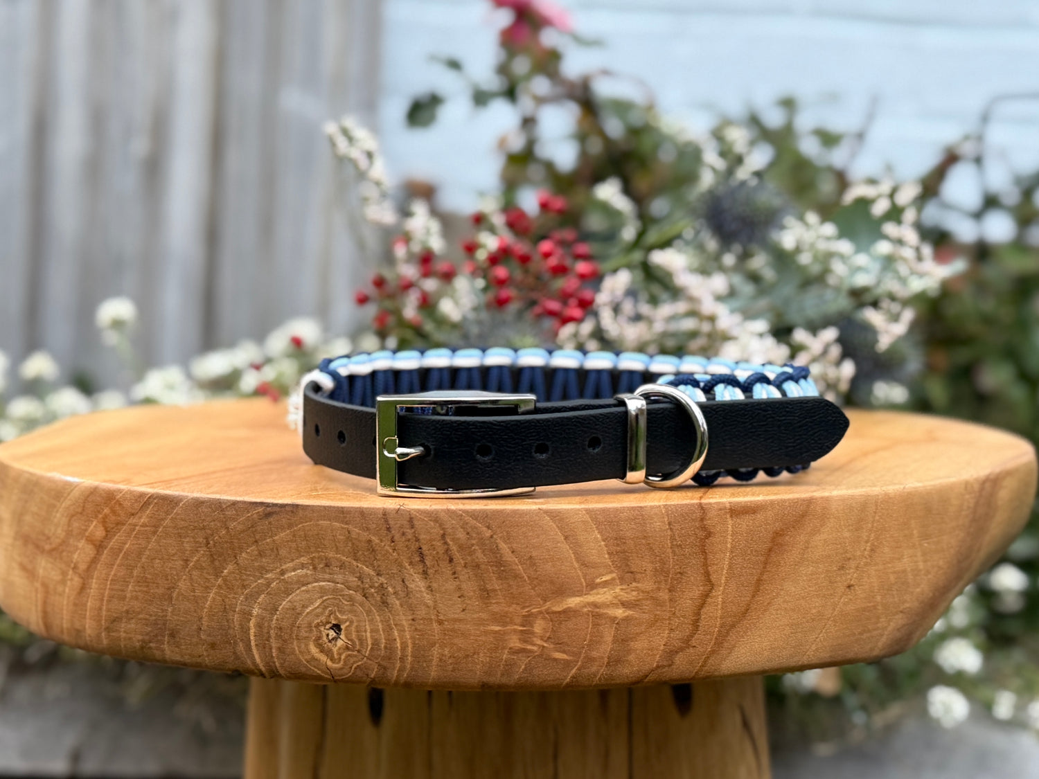 Winter Wonderland Biothane Classic Collar