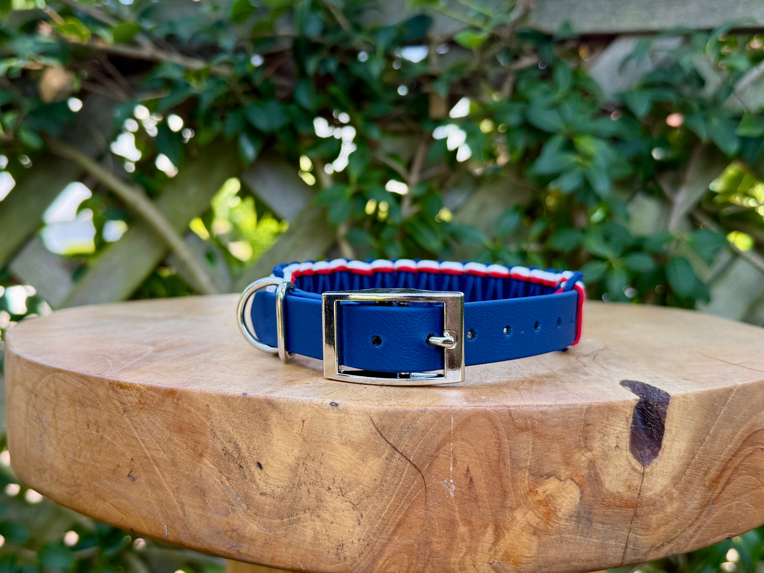 White, Red and Blue Flag Classic Biothane Collar