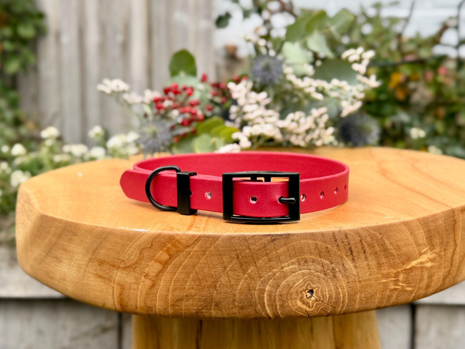 Basic Classic Biothane Collar