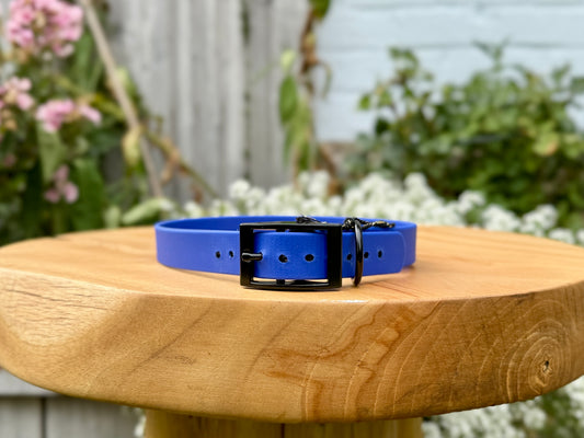biothane dog collar handmade