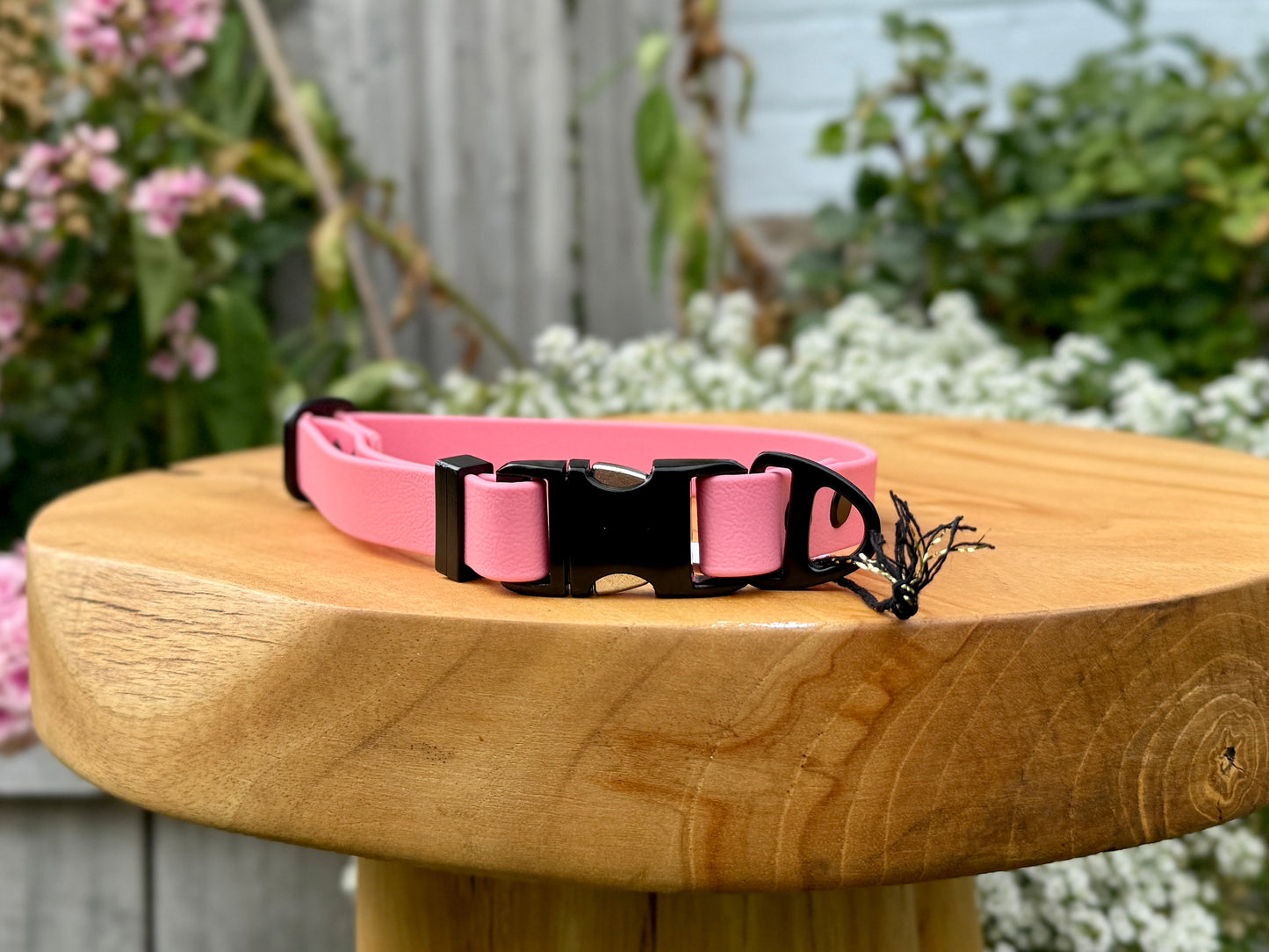 biothane dog collar handmade