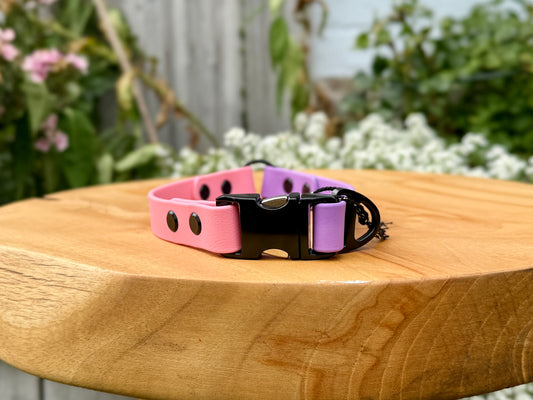 biothane dog collar handmade