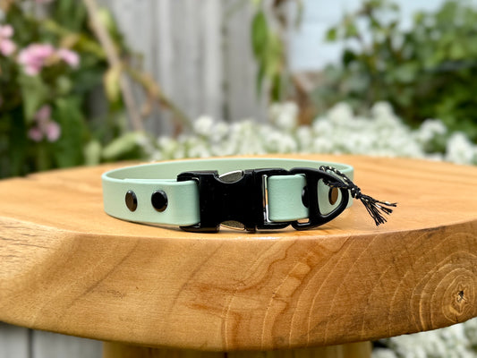 biothane dog collar handmade
