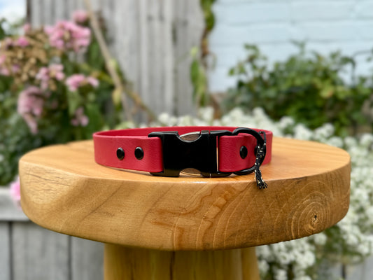 biothane dog collar handmade