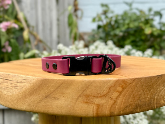 biothane dog collar handmade