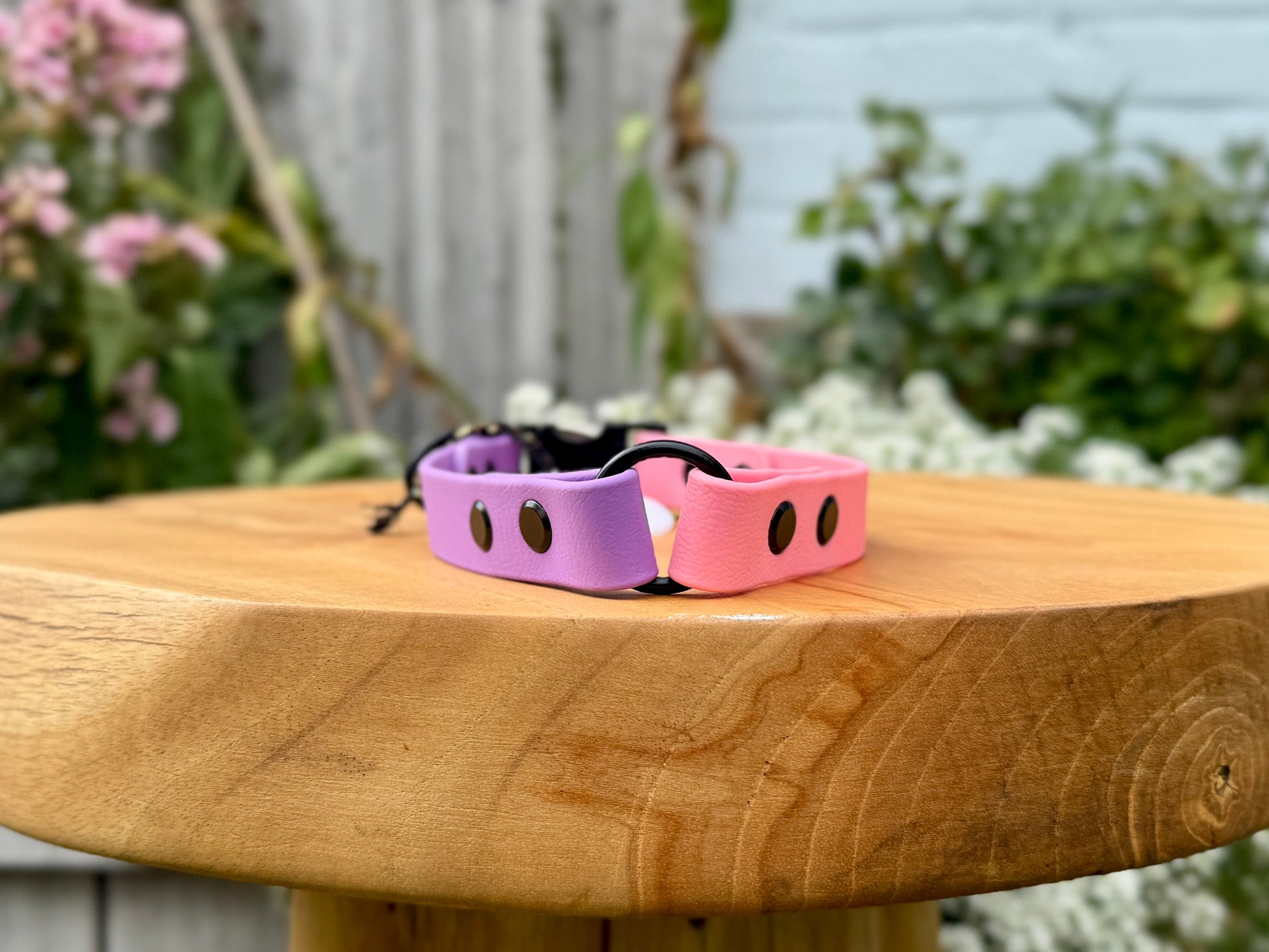 biothane dog collar handmade