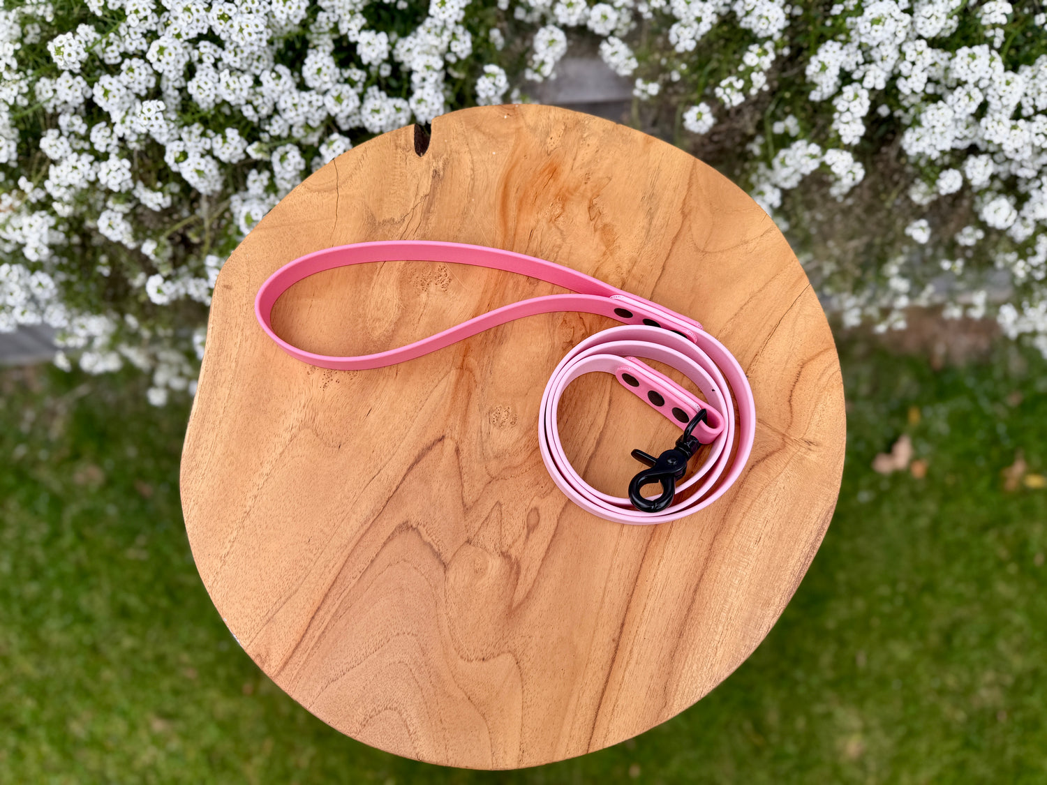 "Pink"
"Roze"
"biothane hondenriem"
"sterke biothane hondenlijn"
"handsfree biothane hondenlijn"
"slijtvaste biothane hondenlijn"
"aanpasbare biothane hondenlijn"
"biothane hondenlijn"
"hypoallergene biothane hondenlijn"
"biothane dog lead"
"Biothane dog leash"
"Strong Biothane Dog Leash"
"Hands-free Biothane dog leash"
"Wear-resistant Biothane dog leash"
"Customizable Biothane Dog Leash"
"Biothane Dog Leash"
"hypoallergenic biothane dog leash"
"Biothane Dog Lead"
