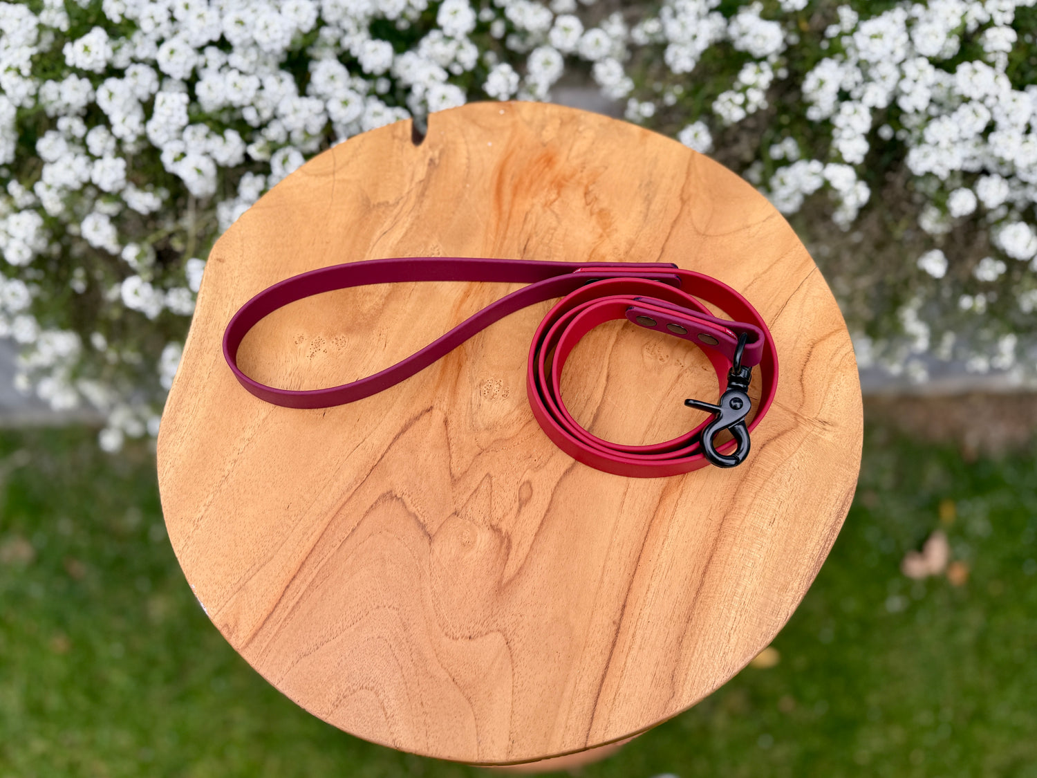 Two-Tone Biothane Training Lead