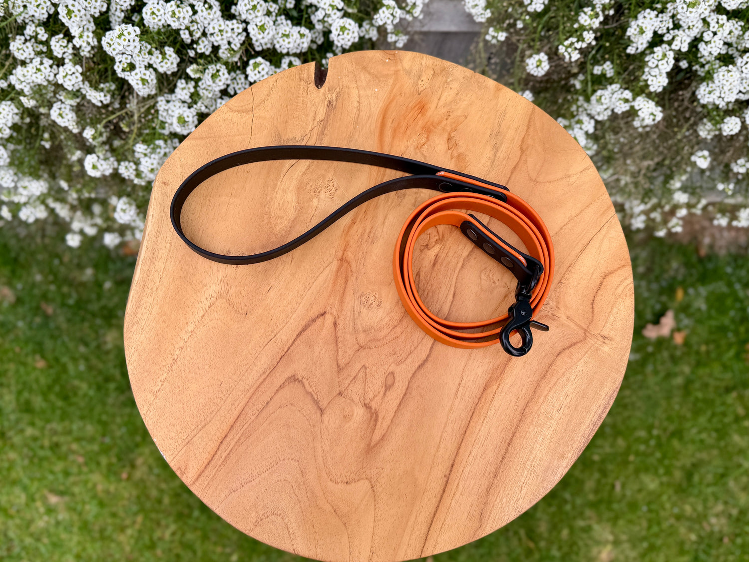 Two-Tone Biothane Training Lead