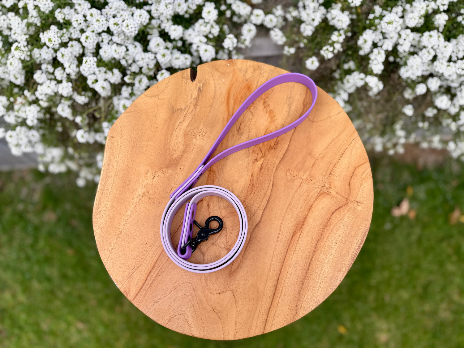 Basic Two-tone Biothane Lead