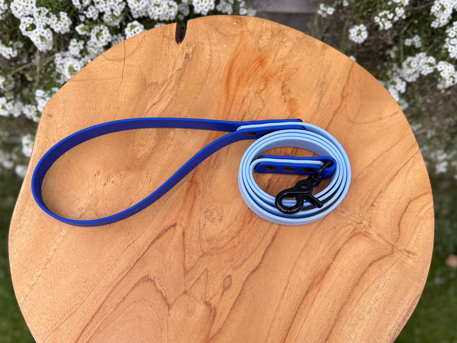"Blue"
"Blauw"
"biothane hondenriem"
"sterke biothane hondenlijn"
"handsfree biothane hondenlijn"
"slijtvaste biothane hondenlijn"
"aanpasbare biothane hondenlijn"
"biothane hondenlijn"
"hypoallergene biothane hondenlijn"
"biothane dog lead"
"Biothane dog leash"
"Strong Biothane Dog Leash"
"Hands-free Biothane dog leash"
"Wear-resistant Biothane dog leash"
"Customizable Biothane Dog Leash"
"Biothane Dog Leash"
"hypoallergenic biothane dog leash"
"Biothane Dog Lead"
