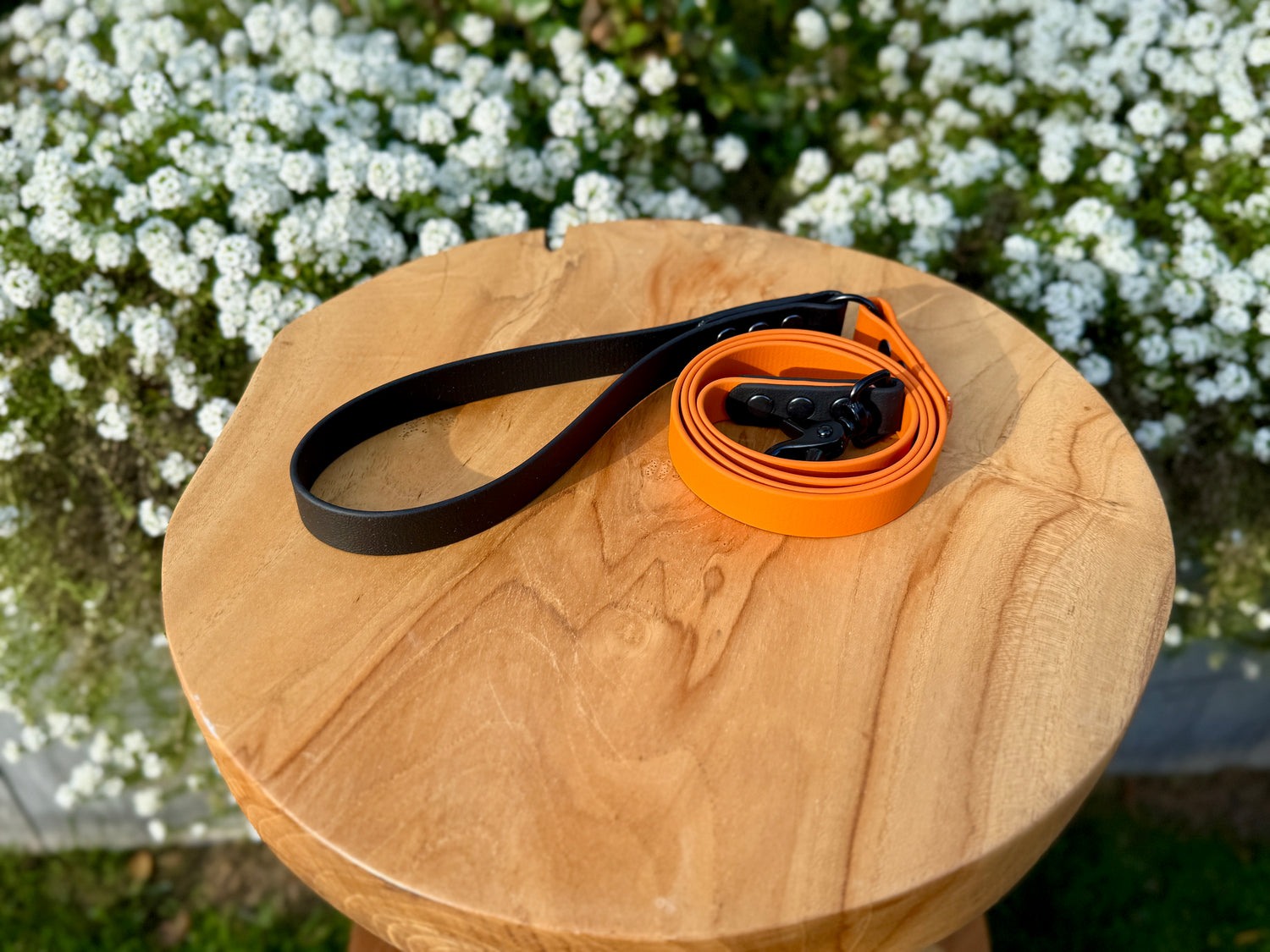 Axle Two-tone Biothane Lead