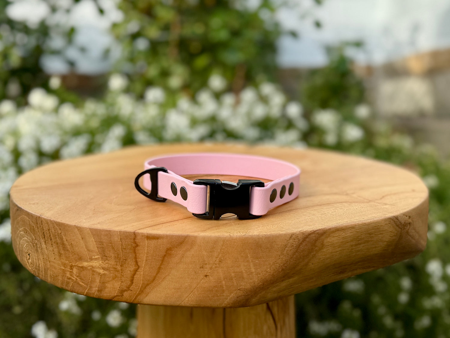 Basic Biothane Collar