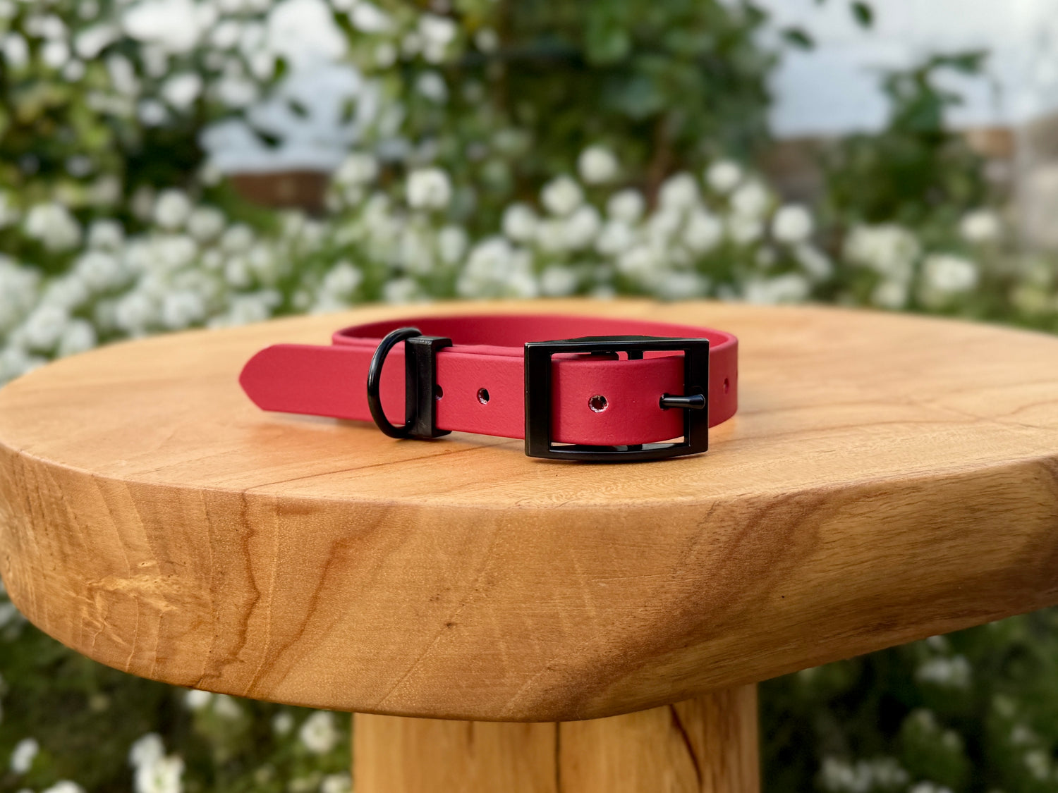 Basic Classic Biothane Collar