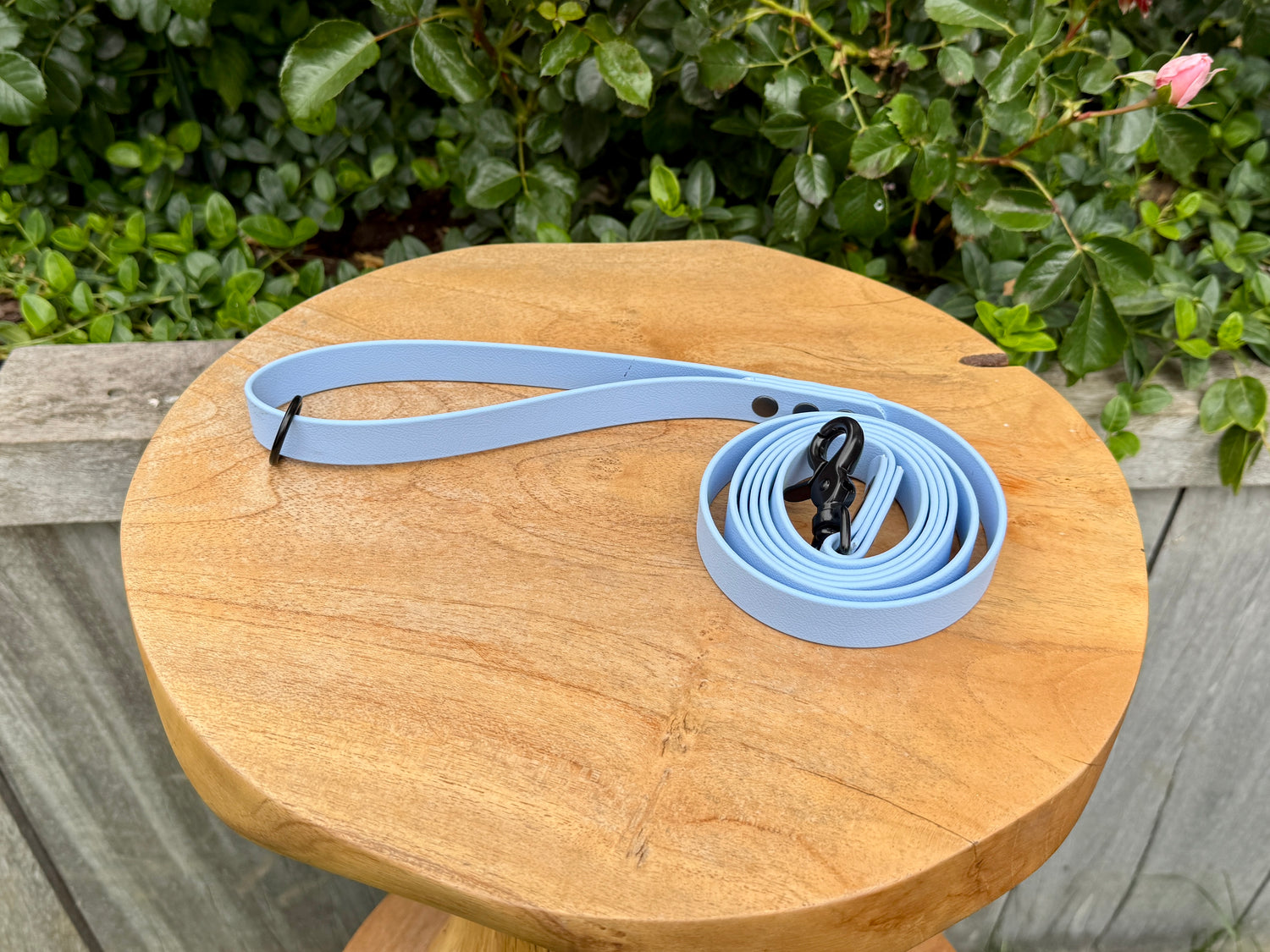 "Blue"
"Blauw"
"biothane hondenriem"
"sterke biothane hondenlijn"
"handsfree biothane hondenlijn"
"slijtvaste biothane hondenlijn"
"aanpasbare biothane hondenlijn"
"biothane hondenlijn"
"hypoallergene biothane hondenlijn"
"biothane dog lead"
"Biothane dog leash"
"Strong Biothane Dog Leash"
"Hands-free Biothane dog leash"
"Wear-resistant Biothane dog leash"
"Customizable Biothane Dog Leash"
"Biothane Dog Leash"
"hypoallergenic biothane dog leash"
"Biothane Dog Lead"

