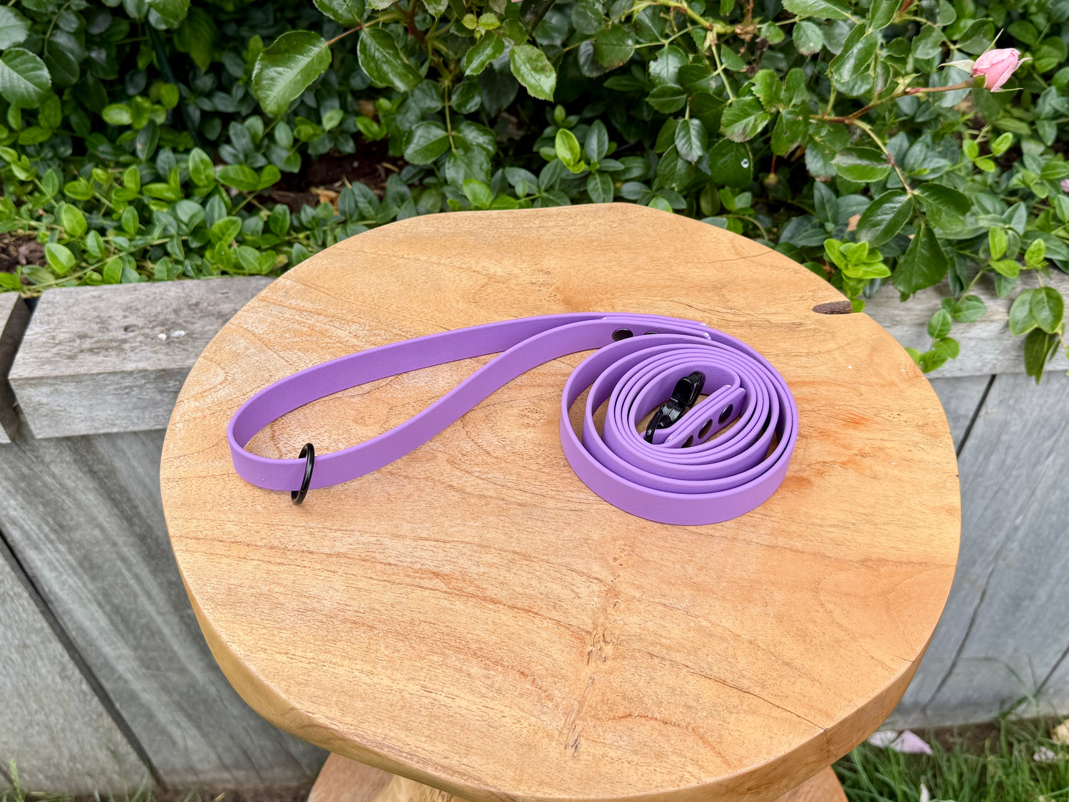 "Purple"
"Paars"
"biothane hondenriem"
"sterke biothane hondenlijn"
"handsfree biothane hondenlijn"
"slijtvaste biothane hondenlijn"
"aanpasbare biothane hondenlijn"
"biothane hondenlijn"
"hypoallergene biothane hondenlijn"
"biothane dog lead"
"Biothane dog leash"
"Strong Biothane Dog Leash"
"Hands-free Biothane dog leash"
"Wear-resistant Biothane dog leash"
"Customizable Biothane Dog Leash"
"Biothane Dog Leash"
"hypoallergenic biothane dog leash"
"Biothane Dog Lead"
