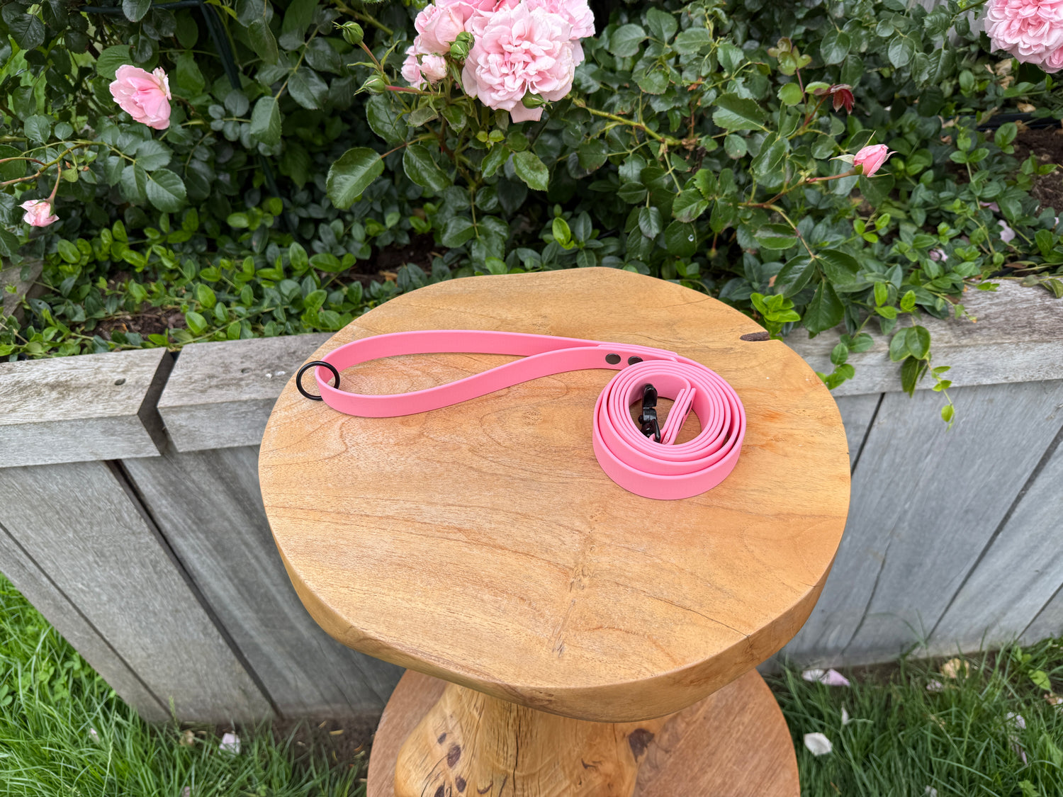 "Pink"
"Roze"
"biothane hondenriem"
"sterke biothane hondenlijn"
"handsfree biothane hondenlijn"
"slijtvaste biothane hondenlijn"
"aanpasbare biothane hondenlijn"
"biothane hondenlijn"
"hypoallergene biothane hondenlijn"
"biothane dog lead"
"Biothane dog leash"
"Strong Biothane Dog Leash"
"Hands-free Biothane dog leash"
"Wear-resistant Biothane dog leash"
"Customizable Biothane Dog Leash"
"Biothane Dog Leash"
"hypoallergenic biothane dog leash"
"Biothane Dog Lead"
