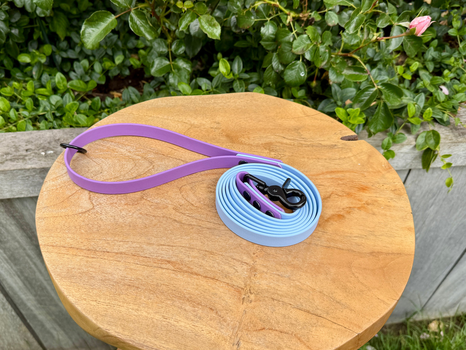 Customisable Biothane Lead