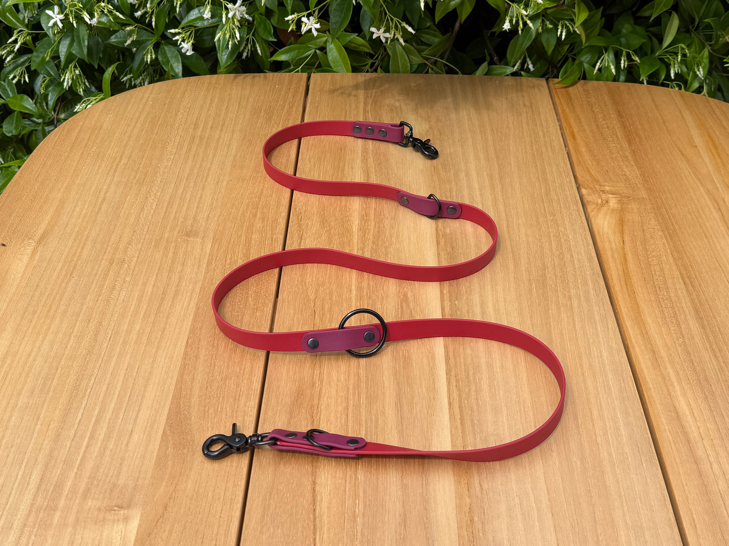 Two-Tone Biothane Multiway Lead