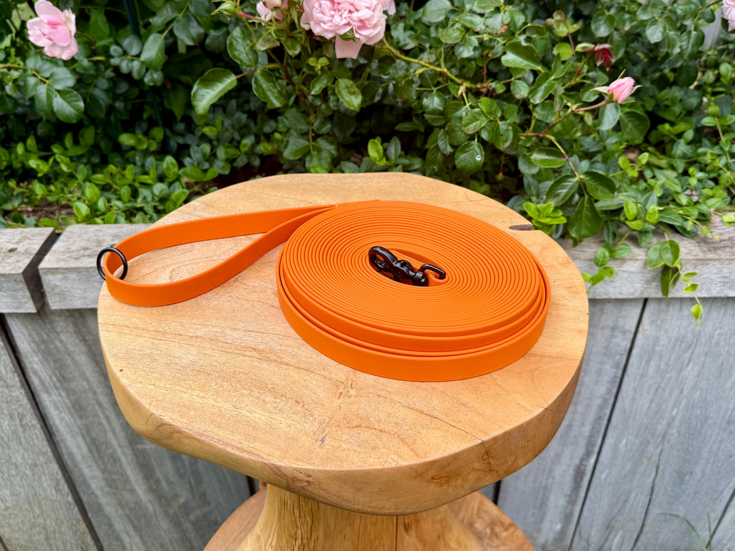 Standard Biothane Long Lead