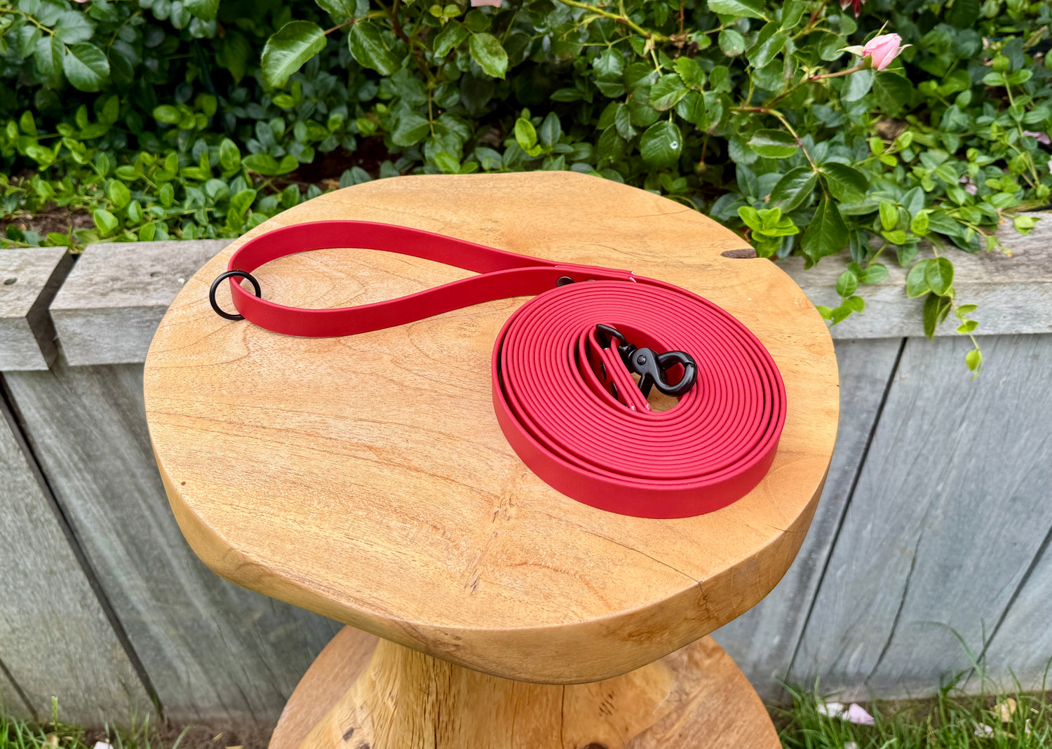 Standard Biothane Long Lead